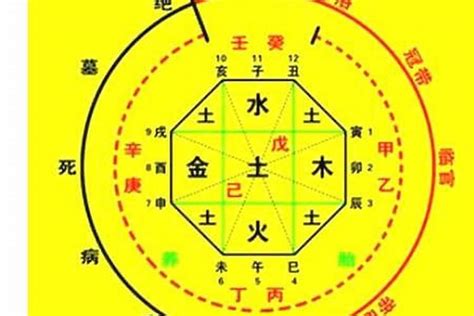 喜用神金意思|八字喜用神是什么 八字喜用神如何确定